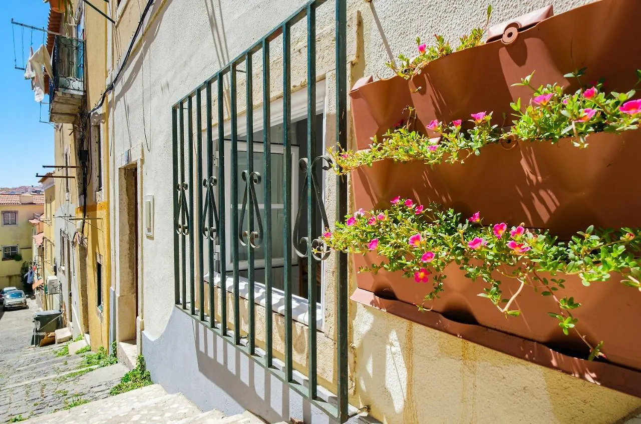 New! Unique 1 Bedroom Apartment- Santa Catarina 42 Lissabon 0*,  Portugal